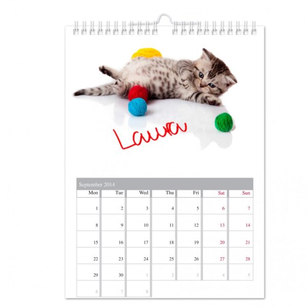 Personalised Your Cat-tastic A4 Wall Calendar - Image 2