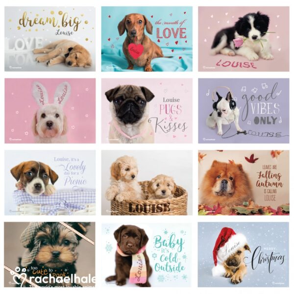 Personalised Rachael Hale 'The Cutest Dogs' A4 Wall Calendar - Image 4