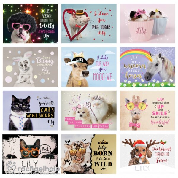 Personalised Rachael Hale Fun Animals A4 Wall Calendar - Image 4